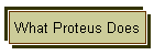 What Proteus Does